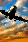 FREE TRANSFER FROM / TO ALICANTE AIRPORT